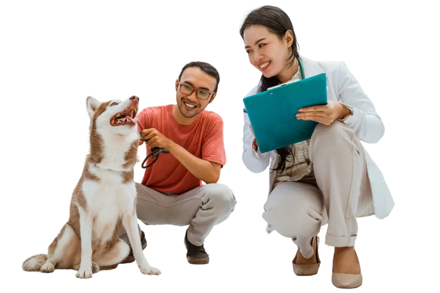 Let's start your journey to veterinary medicine - expertly guided