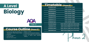 A Level AQA Biology Live Group Class Biology Year 13 Phase 2 timetable and content