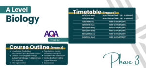A Level AQA Biology Live Group Class Biology Year 13 Phase 3 timetable and content