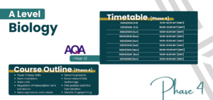 A Level AQA Biology Live Group Class Biology Year 13 Phase 4 timetable and content