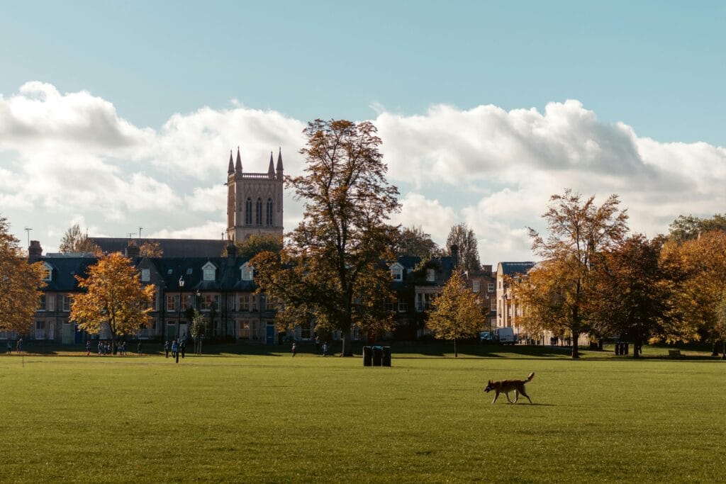 Scenic autumn view of a college campus in Cambridge with trees, lawn, and architecture.